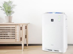 霧霾的傷害比你想的更嚴(yán)重 你還不買(mǎi)個(gè)空氣凈化器嗎